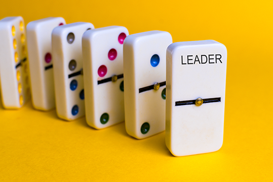 Leadership and Management