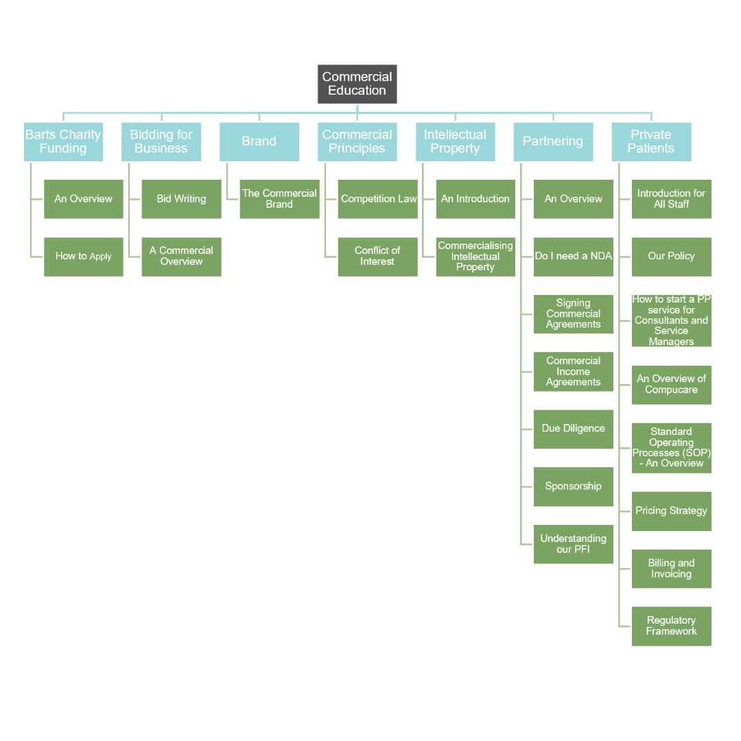 Organogram of Commercial Academy training packages
