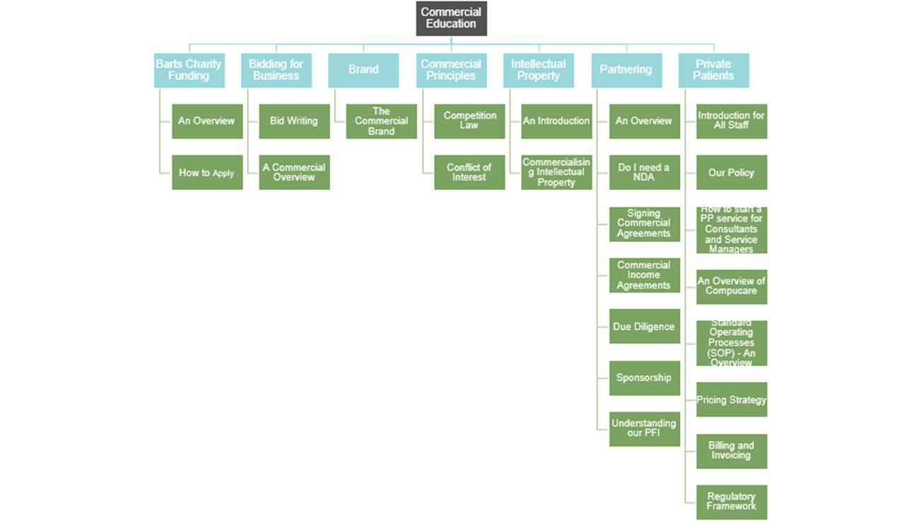 Commercial Education Organogram